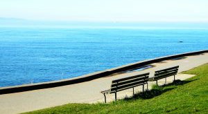benches-by-the-sea-955665-m