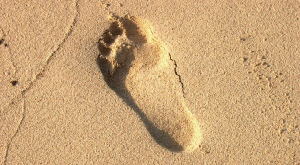 footprint-1370726-m